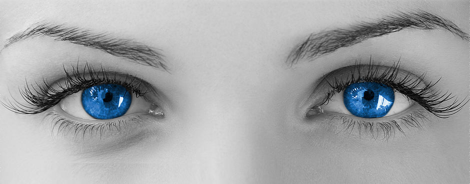 Jeder Liter Diesel zählt! Wir haben Ihren Treibstoffverbrauch im Auge. Jeder Liter Diesel zählt! Wir haben Ihren Treibstoffverbrauch im Auge.